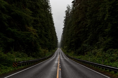 灰色的绿树之间的道路
